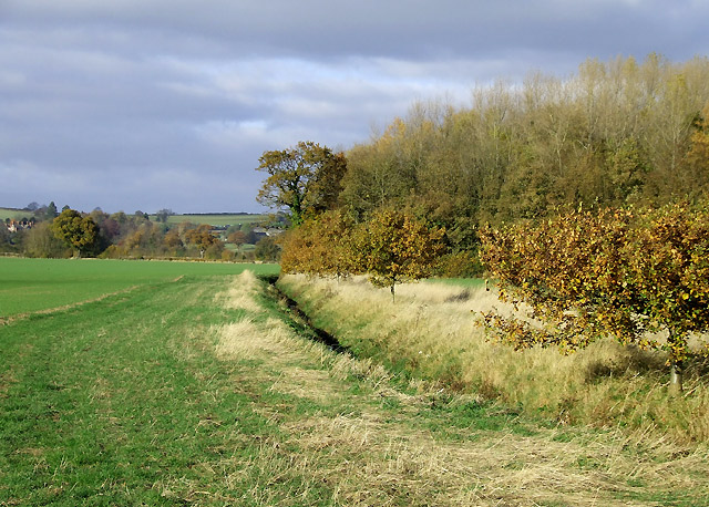 Fields, Brook and Woodland, near Bourton, Shropshire