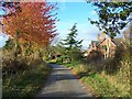 Lane Near Blakeleyhill