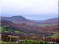 Looking to the head of Strath Brora from Tannachy