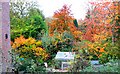 A garden in Bishopstone, Swindon