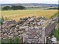 Ruined Episcopalian Chapel