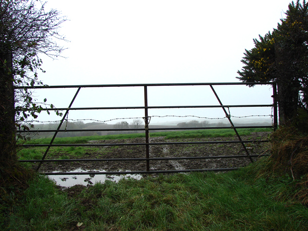Metal gate and fields