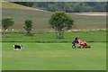 One man and his dog went to mow a meadow