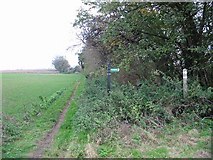 TR2855 : Junction of footpaths by Nick Smith