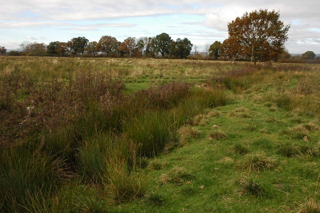 Rough grassland near Letton Lake © Philip Halling cc-by-sa/2.0 ...