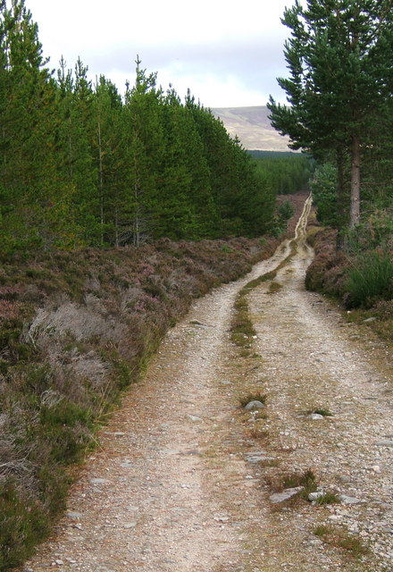 General Wade's Military Road W of Carrbridge