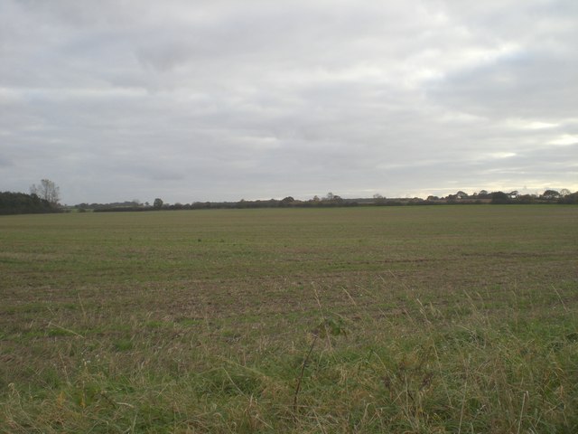 South towards Chiplow Plantation and Chiplow Thirty Acre Plantation