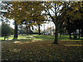 Autumn leaves in Cornwell Road