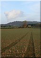 Public Footpath to Morton Carr