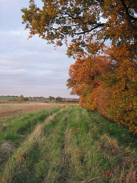 Stubble, headland and autumn hedgerow © Zorba the Geek :: Geograph ...