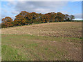 Stubble field near Deep Dean