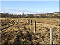 View over rough grazing by Water of Feugh