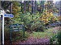 Entrance to Bouldnor Forest