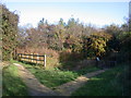 Pond on Bramblefields local nature reserve