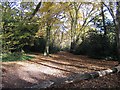 Footpath through Highams Park