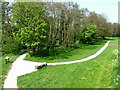 Bank of River Elwy in St Asaph