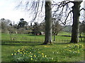 View towards Kington