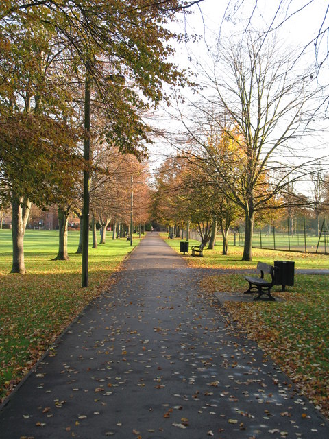 Avenue of Trees, Victoria Park