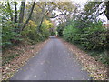 Church Lane, Newtimber