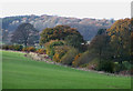 Crop Field and Woodland, Loughton, Shropshire