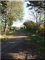 Lane from Rectory Farm, Puttenham