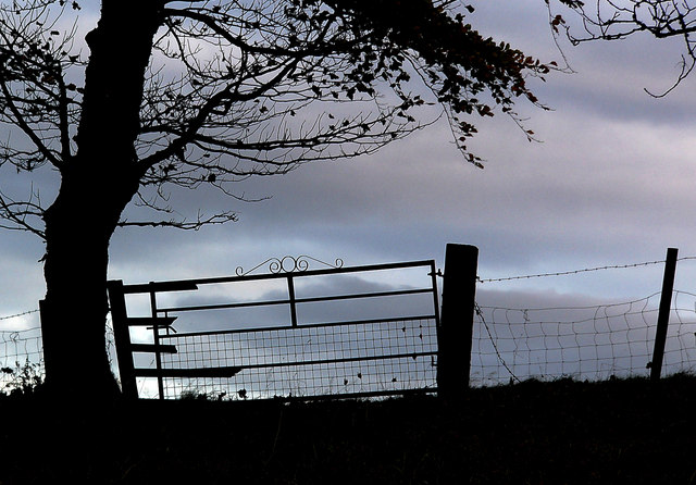 Field gate near Ballaird Loch