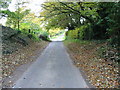 Road to Selson past Wells Farm