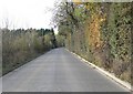 Gibbet Lane near Shawell