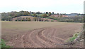 Arable fields and autumn woodland