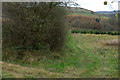 Bridleway heading west from Ysbyty Ystwyth