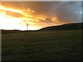 Grazing sheep, Stirches Mains