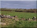 SX2692 : Fields near Sunny View Farm by Derek Harper