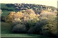 Deciduous woodland below Coed-y-gaer