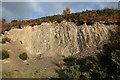 Disused quarry near Caerau