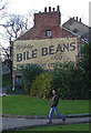 Bile Beans