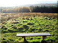 Bench on Priest Hill