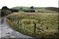 Pasture near Glanbidno Isaf