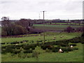 Road Bridge on the Shanecracken Road, Markethill