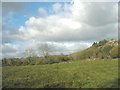 Wetlands around Afon Rhydhir