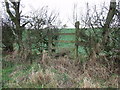 Stile on rarely used footpath