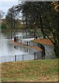 West Bank of the Lower Lake, Albert Park