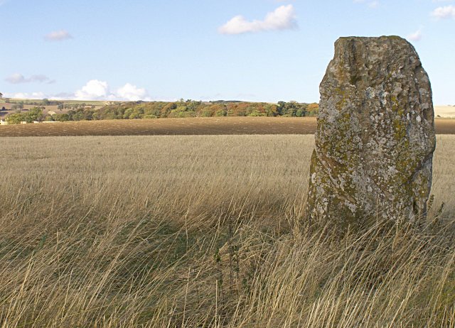 Easter Pitcorthie Standing Stone