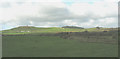 Farmland between Mynytho and Llanbedrog