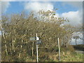 Minor road junction near Coed-y-Fron