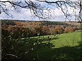 Tamar valley from below Northcott