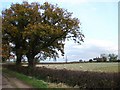 Clump Hill Farm from the Public Footpath