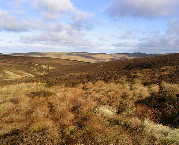 High moorland in the Cheviots