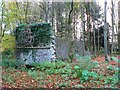 Ruins in the forest