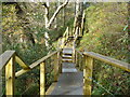 New steps at Ness Wood