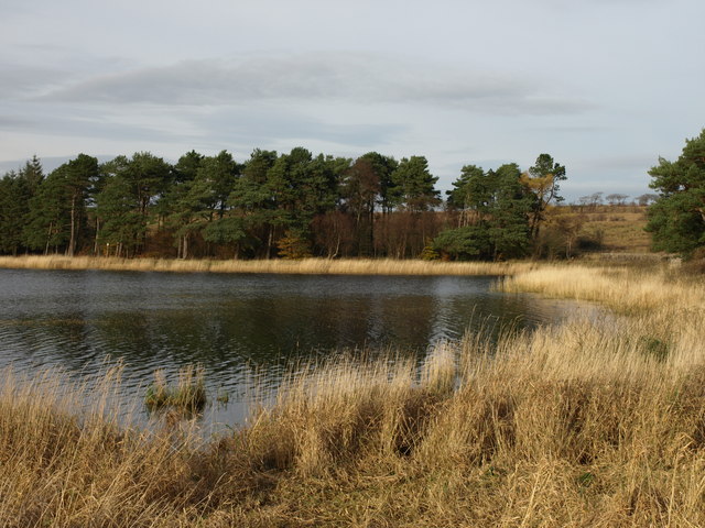 Barcraigs reservoir